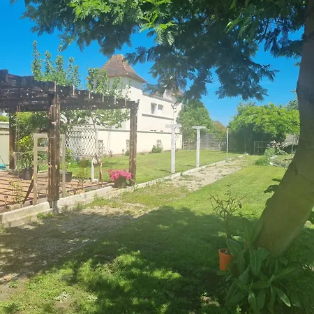 Du Paille En Queue Bergerac