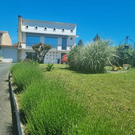 Du Paille En Queue