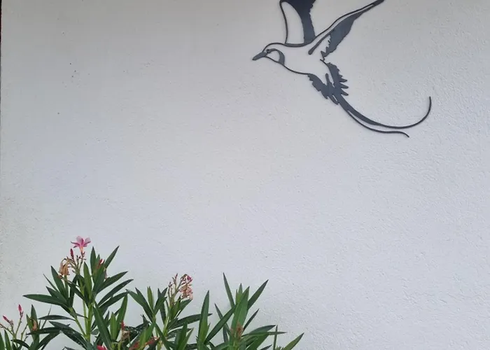 Du Paille En Queue Habitación en casa particular Bergerac