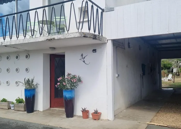 Du Paille En Queue Bergerac